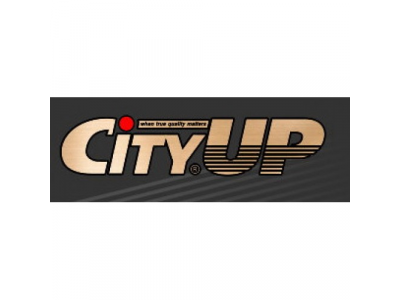 Смазка силиконовая универсальная бесцветная аэрозоль 300мл City Up UP-60